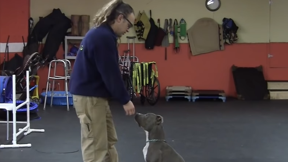 Jeff Gellman with a dog