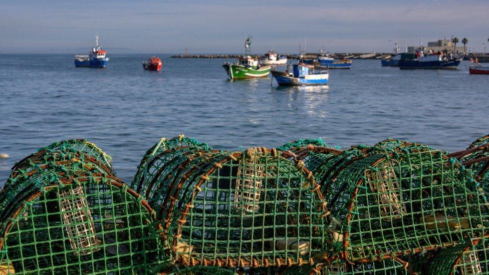 Fishing boats and lobster pots