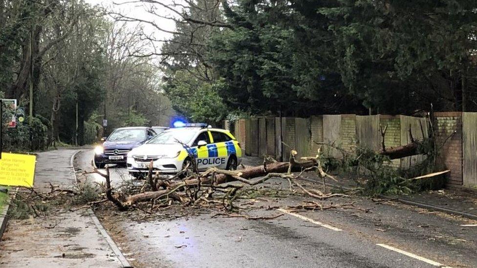 Police attending the scene of a fallen tree blocking Furze Platt Road, Maidenhead