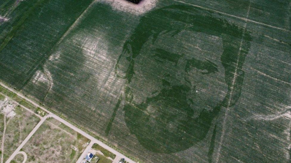 Lionel Messi's face in a cornfield