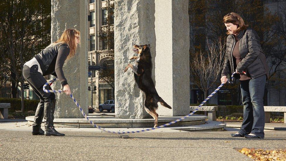 Geronimo, completing the most skips by a dog in one minute.