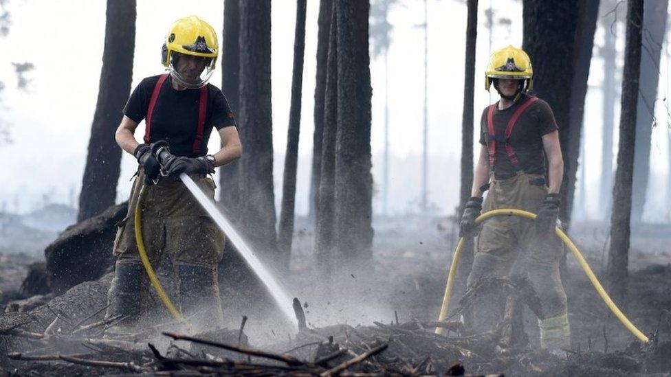 Firefighters in Wareham Forest