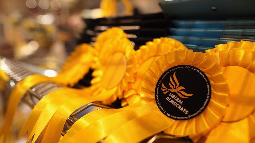 Lib Dem rosette