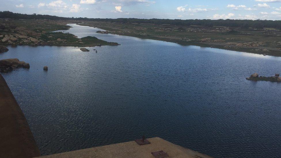 Water in a dam in Harare, Zimbabwe.