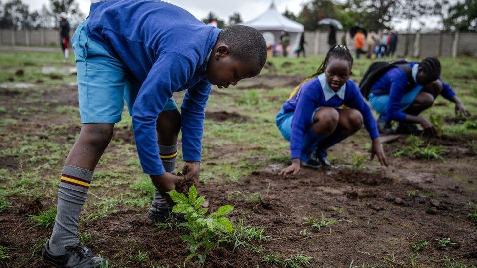 kids-planting-trees.