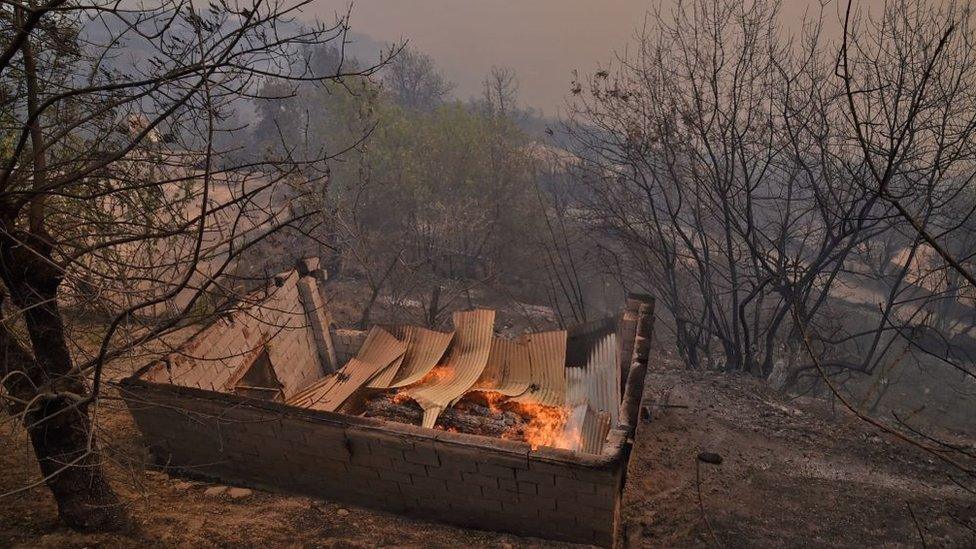 A structure burns during wildfire in the forested hills of the Kabylie region