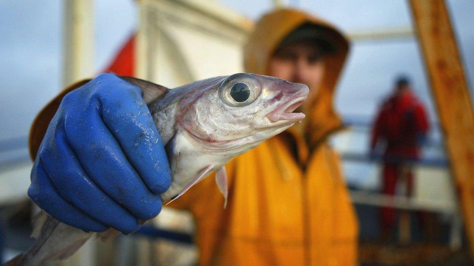 fisherman with fish