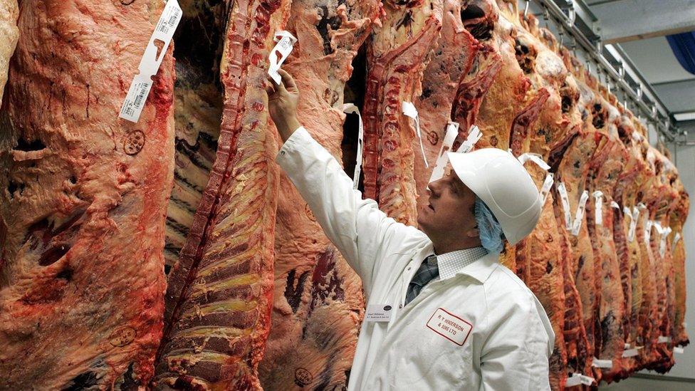 Butcher inspecting meat