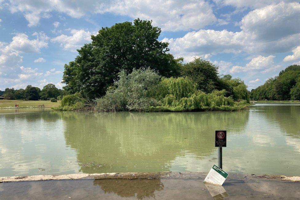 Verulamium lake, St Albans