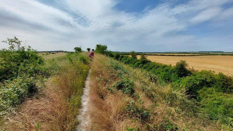 Fleam Dyke