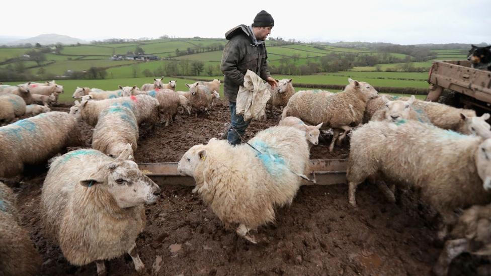 Farm in Brecon Beacons