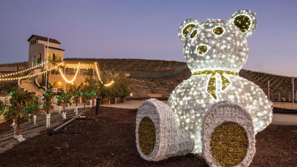 Teddy bear lights