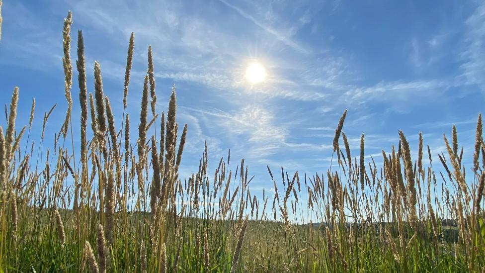 Sunshine in Shottle, Derbyshire