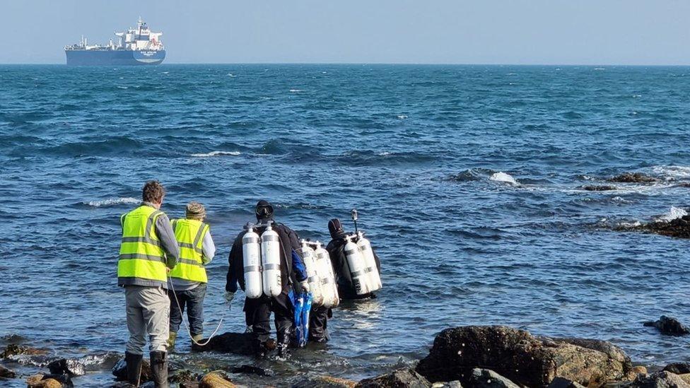 people entering ocean