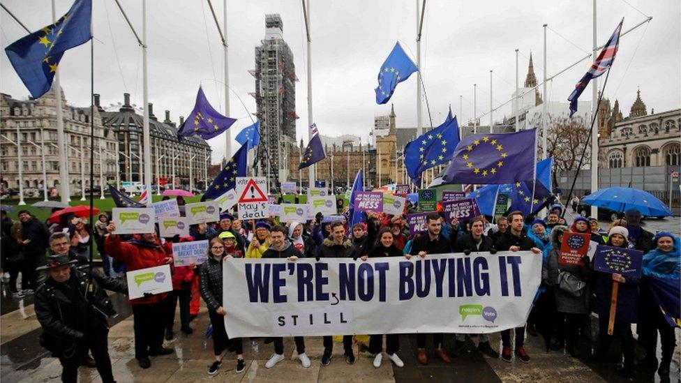 People's Vote protesters