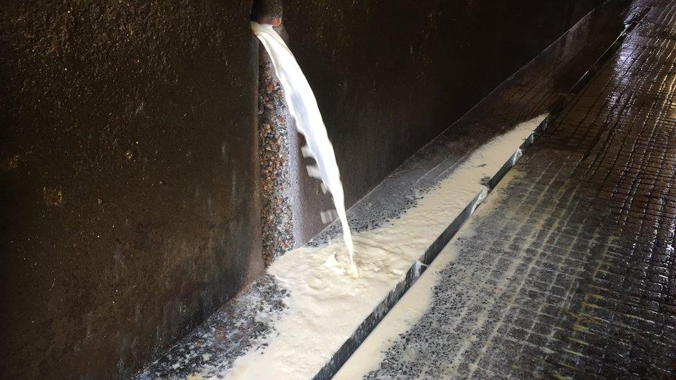 Two thousand litres of milk a day were being poured into the slurry tanks