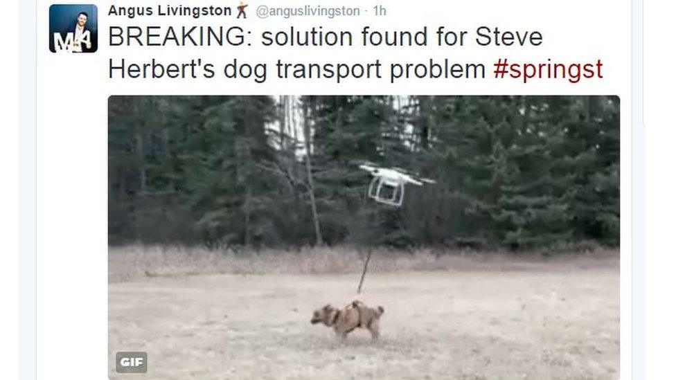 Tweet image of a drone walking a dog