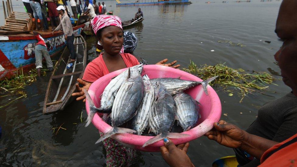 UN: Global fish consumption per capita hits record high - BBC News