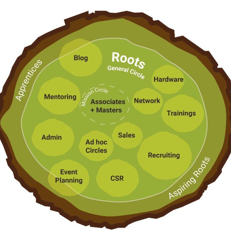 Organisation chart