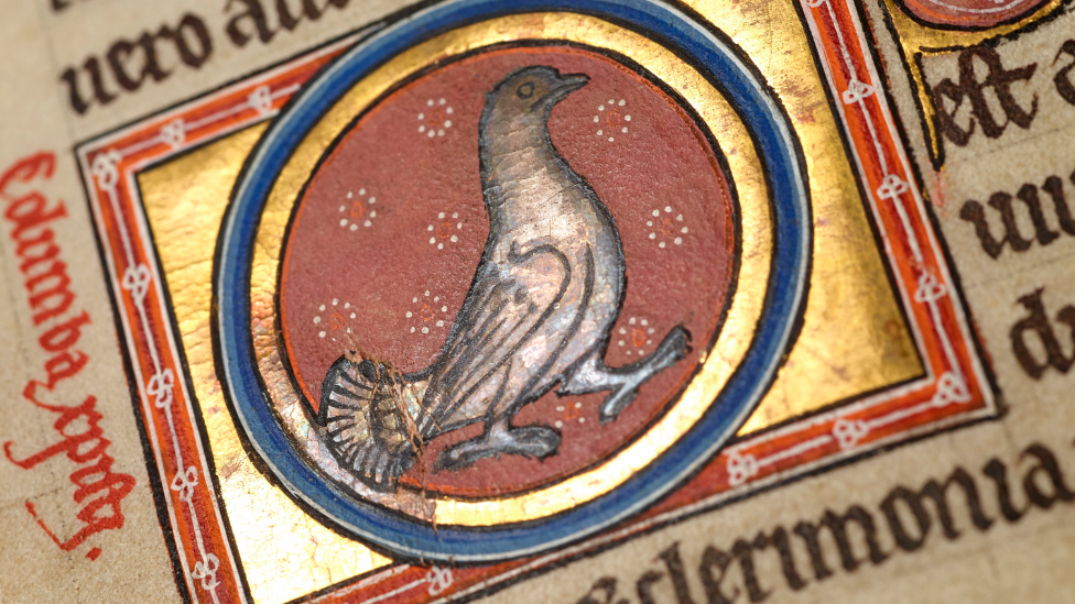 Images shine light on ancient Aberdeen Bestiary BBC News 