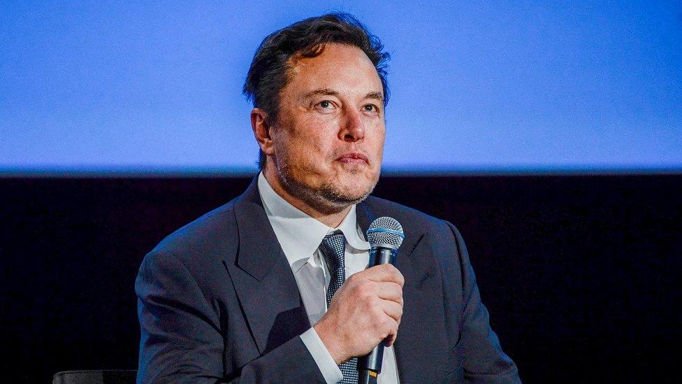 Twitter CEO Elon Musk seen on a stage holding a microphone