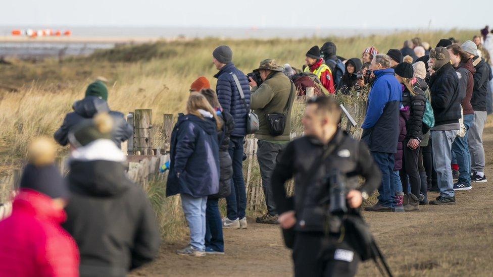 Visitors at the reserve