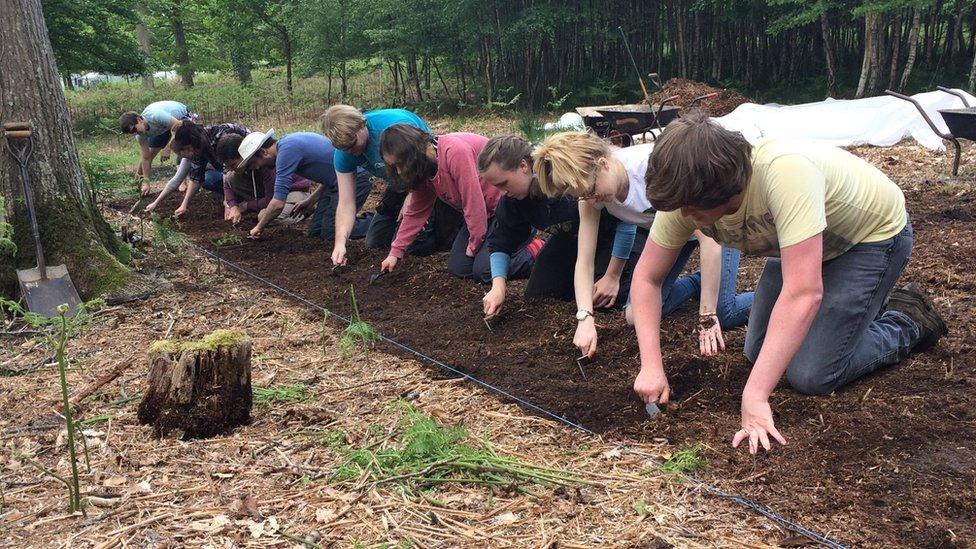 Archaeologists in Denny Inclosure