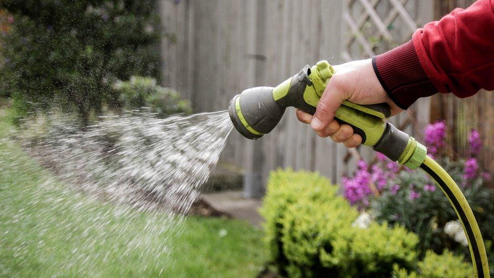 Man watering the garden