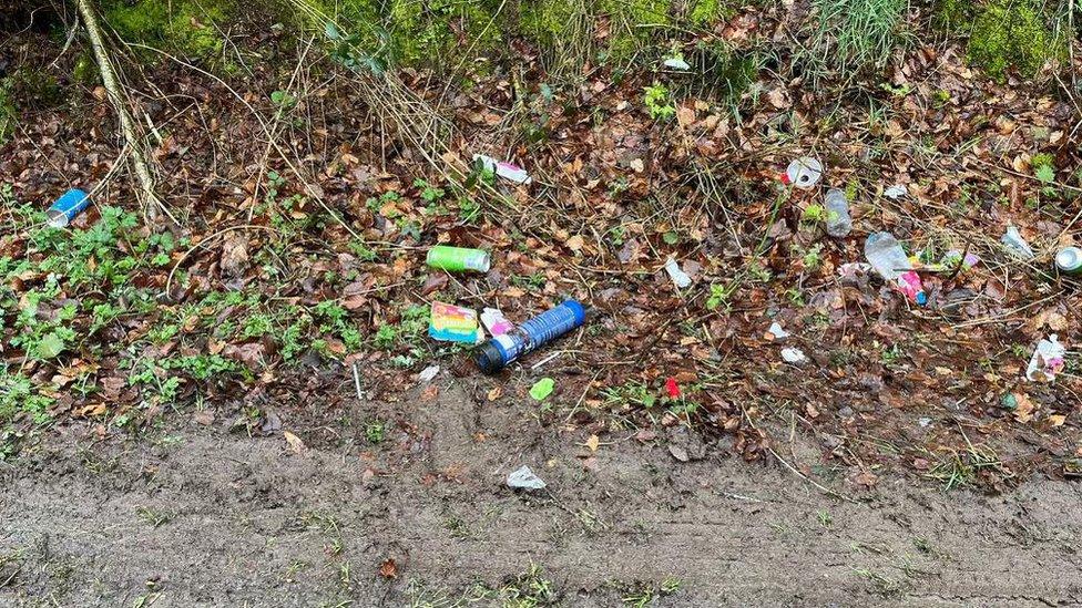 Rubbish scattered across a road verge