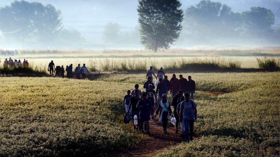 Syrian migrants and refugees cross the border between Greece and F.Y.R. of Macedonia (29 Aug 2015)