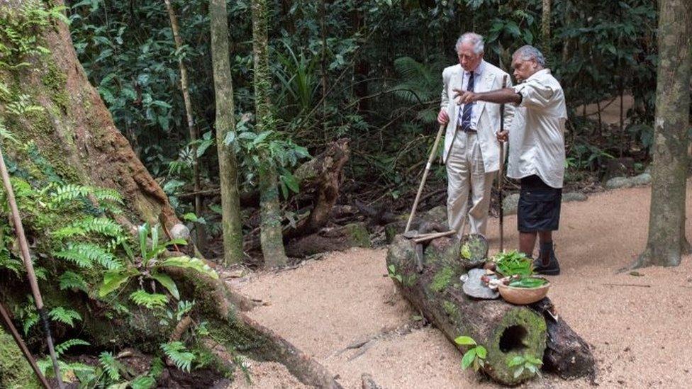 Prince Charles is accompanied by Roy Gibson, an elder of the Kuku Yalanji tribe, during a visit to the Daintree Rainforest in Australia