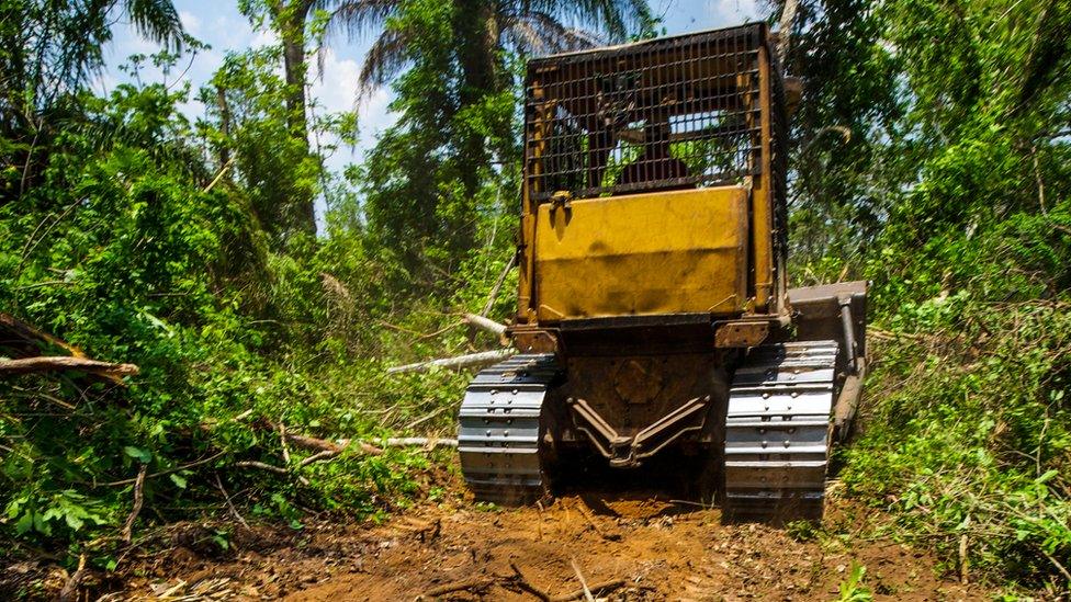 A bulldozer in the Cerrado