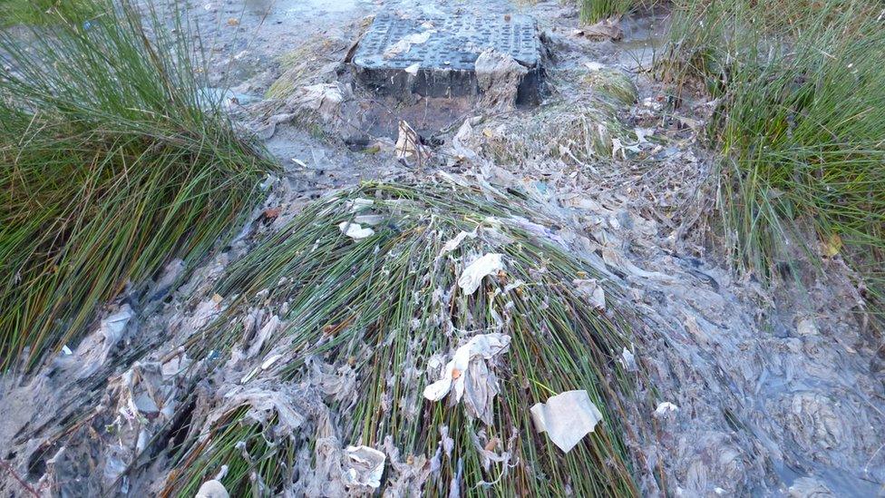 Raw sewage in Sutton Park