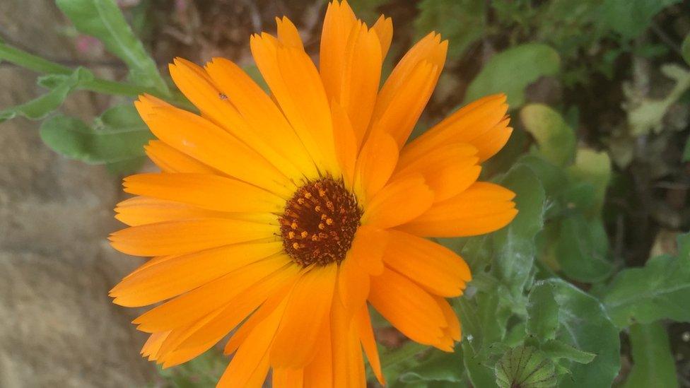 Picture taken by nine-year-old Jacob in Witney