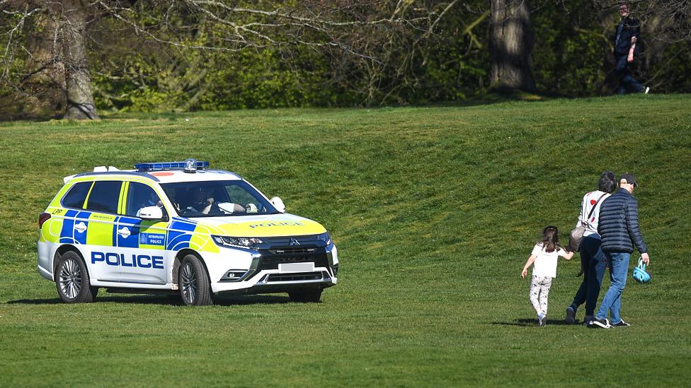 Police car in park