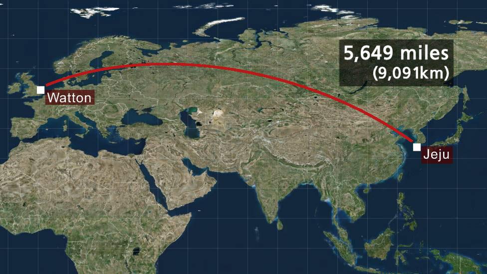 Map showing the distance between Watton, Norfolk, and Jeju, South Korea.