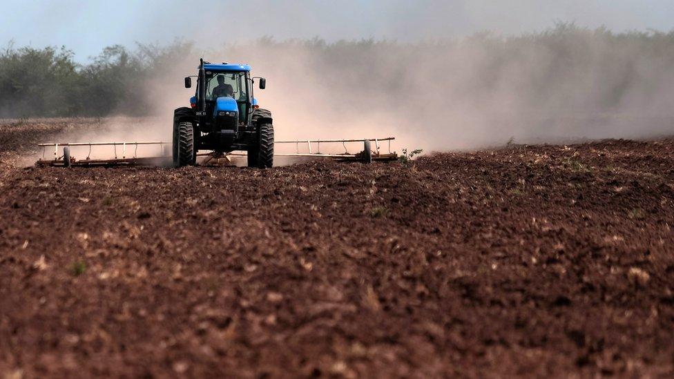 A field is sown in Dique Chico, Cordoba province, Argentina, on January 21, 2018.