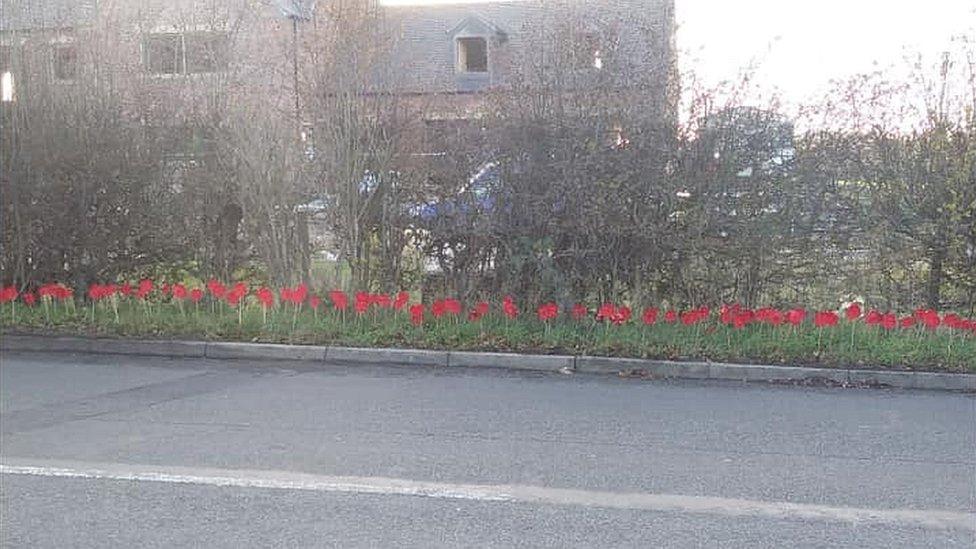 Original poppy display