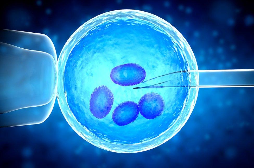 IVF process