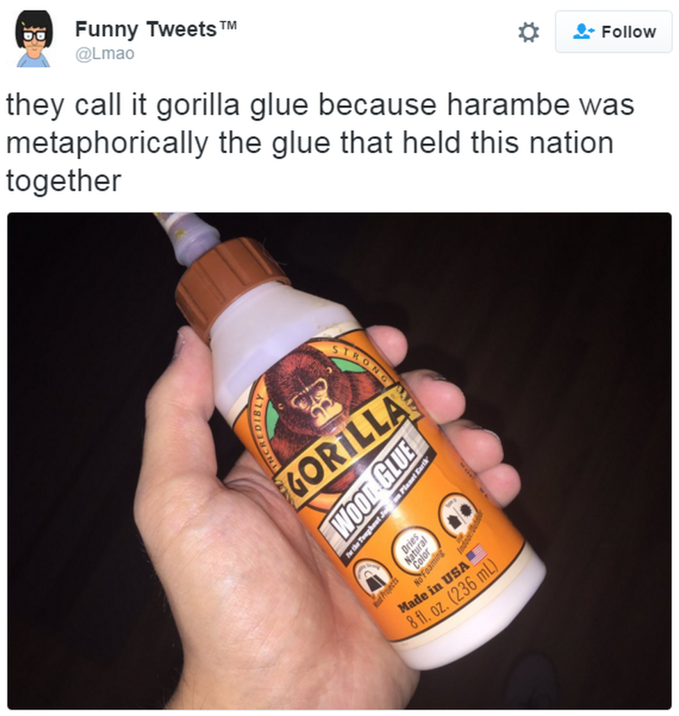 A tweet reads: "They call it gorilla glue because Harambe was metaphorically the glue that held this nation together"