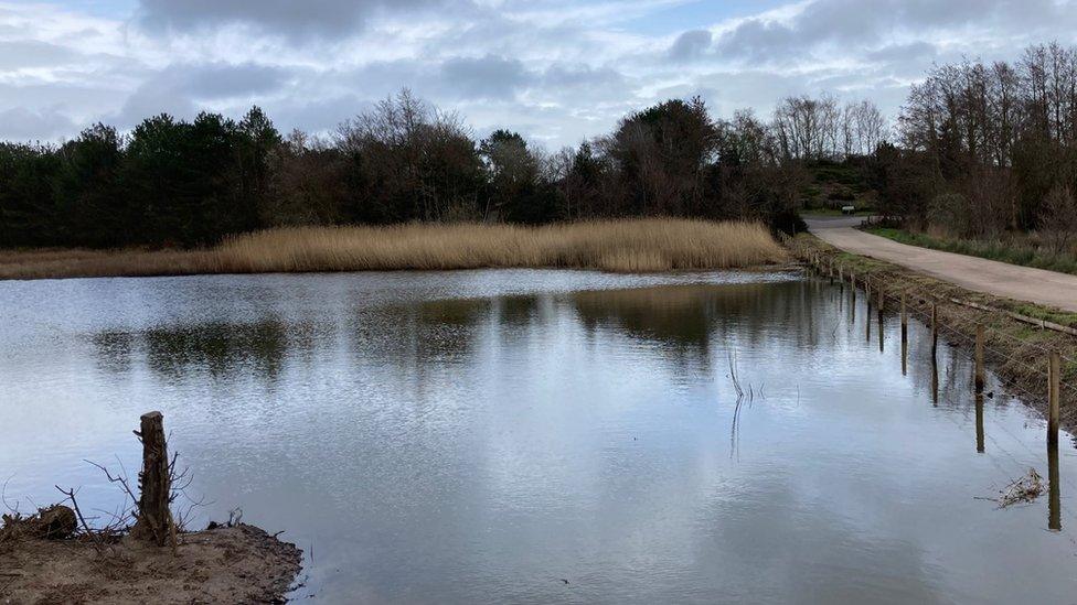 Shotover Moor