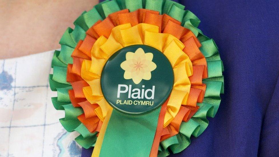 Plaid Cymru rosette