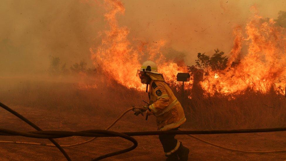 A firefighter battles a blaze at Hillside in New South Wales on 13 November