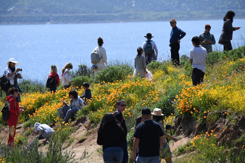 Sightseers in Diamond Valley 24 March