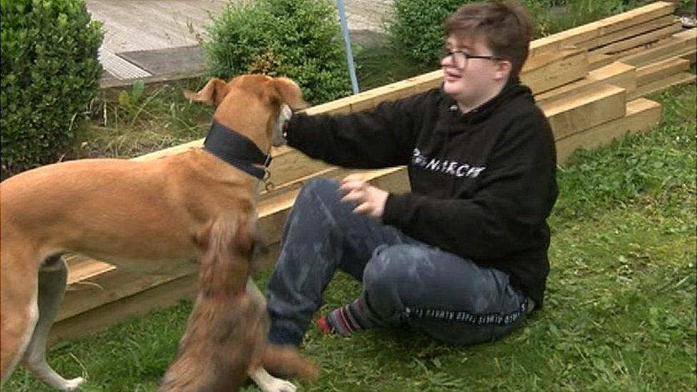 Matty with his dogs