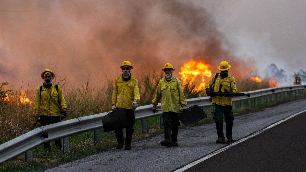 Firefighters walk next to a large forest fire in Pantanal