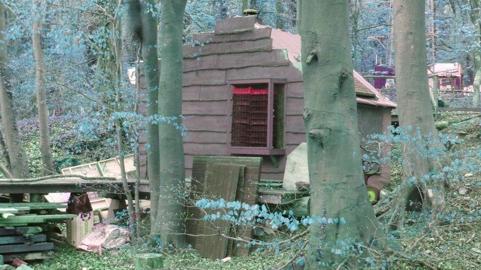 A shed in a forest