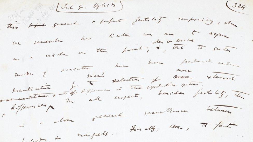 Autograph manuscript page from On the Origin of Species