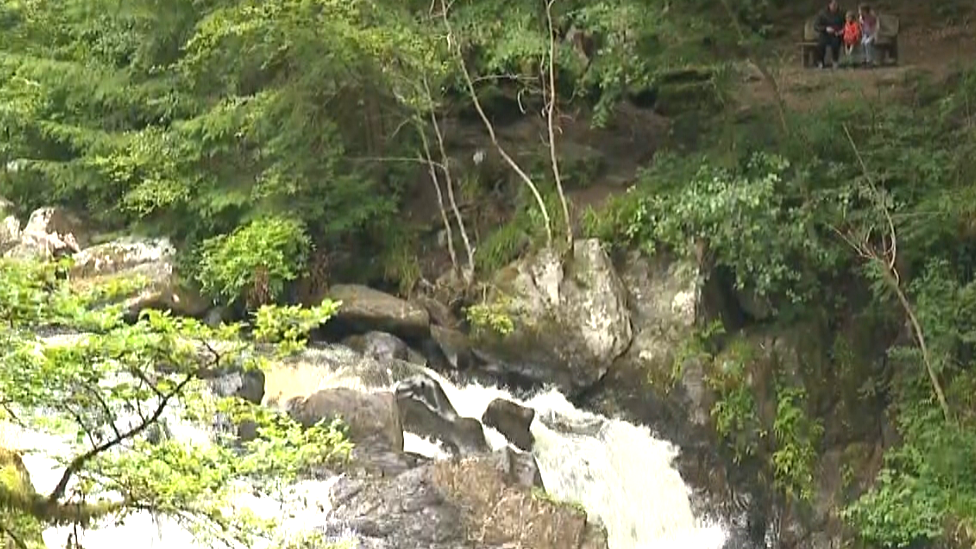 River Braan