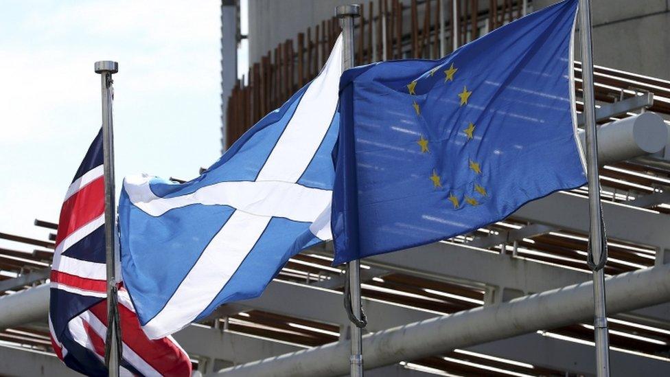 Flags outside Holyrood